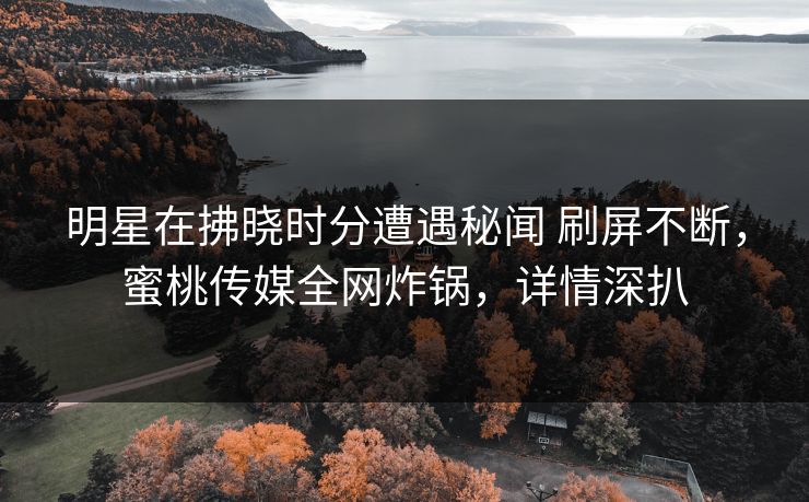 明星在拂晓时分遭遇秘闻 刷屏不断，蜜桃传媒全网炸锅，详情深扒